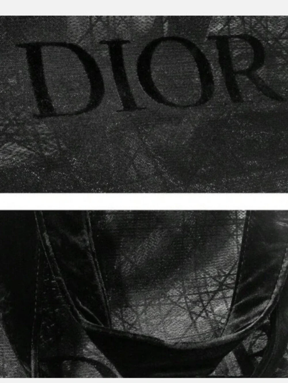 Dior VIP Black Mesh Tote Bag